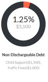 Non Dischargeable Debt